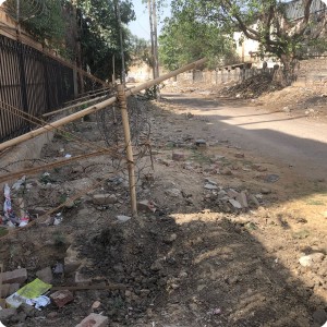 1 Growboxx plant cocoon plantation in Gurgeon India along street with bamboo and iron wire protection