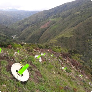 20. 20180410 For this project  we can even plant fruit trees on slopes in order to produce more food