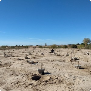 20 Growboxx plant cocoon plantation at Mexicali Mexico for Pronatura and SPA