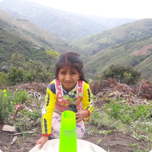 22. 20180410 This little Green Musketeer has planted a tree on the slopes in Hato Vito