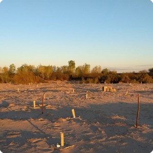 23 Growboxx plant cocoon plantation from Pronatura  financed by SPA of the State of Baja California   in Mexicali Mexico