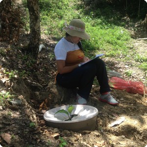 25. 20180326 Taking data in La Herradura from the Waterboxx plant cocoon