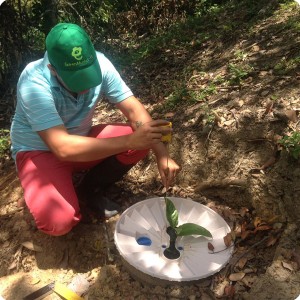 26. 20180326 Taking data in La herradura from the Waterboxx plant cocoon