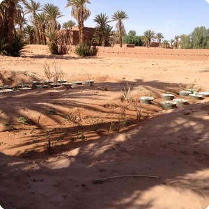 26. Wadi 4 5 c