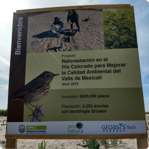 2 Billboard at Pronatura Mexicali Mexico plantation financed by SPA  Secretaria de Proteccion al Ambiente del Estado de Baja California 