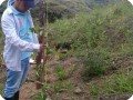 30. 20180425 Measurement of maracuya in Gonzalo s property