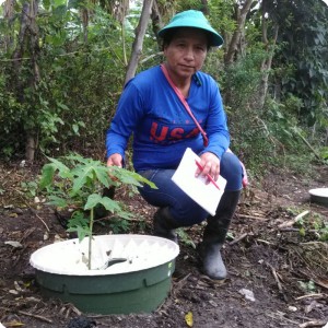 32. 20180426 Sandra  leader of Tarabita 1  with her papaya