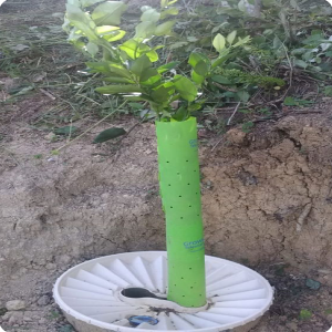 35. 20180619 A Waterboxx with a lemon tree that is already using 2 growsafes after a few months