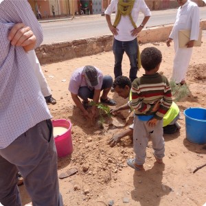 40. 1 st tree planted in Tagounite 2 apr 18