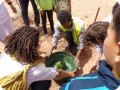 46. Tagounite April 18   placing the Waterboxx plant cocoon carefully around the tree