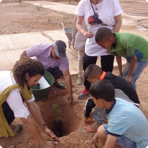 53. first tree for Lions Host Tagounite apr 18