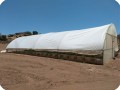 13 The Groboxx plant cocoon trials are done in a simple tunnel greenhouse without climate regulation in Ensenada Mexico June 15 2018