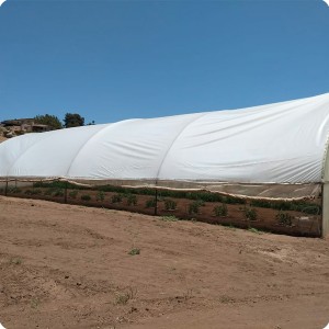 13 The Groboxx plant cocoon trials are done in a simple tunnel greenhouse without climate regulation in Ensenada Mexico June 15 2018