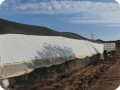 30 August 10   The Growboxx vegetable project in Baja California Mexico is in a simple tunnel with some shadenet over it