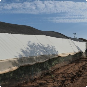 30 August 10   The Growboxx vegetable project in Baja California Mexico is in a simple tunnel with some shadenet over it