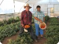 46 August 10   The Podesta Family with their tomatoes harvest of this morning from the Growboxx plant cocoon in Ensenada Mexico