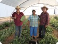 47 August 10   Mr. Gastellum and the Podesta family in their greenhouse with Growboxx plant cocoons