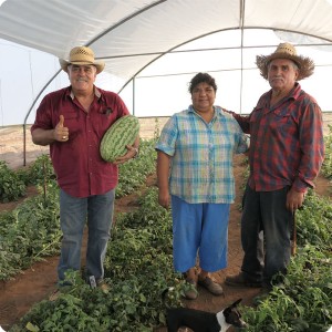 47 August 10   Mr. Gastellum and the Podesta family in their greenhouse with Growboxx plant cocoons