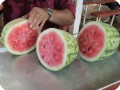 49 August 10   The first water melon ever produced on a Growboxx plant cocoon in combination with a lemon tree