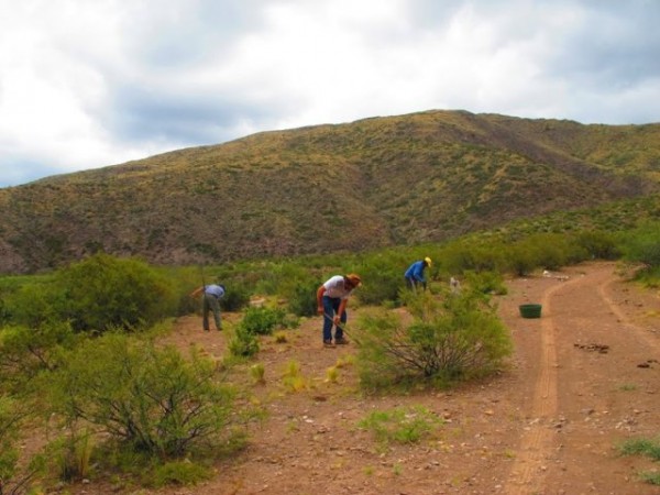 1. nov 2014 argentina mendoza el challao. semiarid to arid at 1300 musl 300 mm rainfall 1