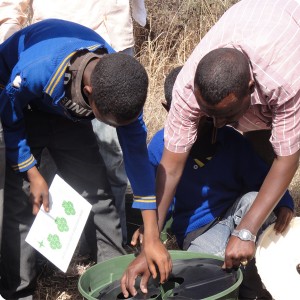 3 The students had to learn  to assemble the Groasis waterboxxes