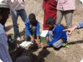 4 The students learned about the destroyed primary roots and how to repair them
