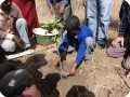 5 Then the students learn to plant without damaging the roots