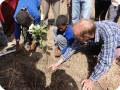 6 The students understand that the top of the pot has to be equal to the top of the soil