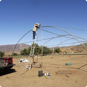 The Podesta family built a simple self made greenhouse