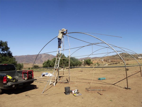 The Podesta family built a simple self made greenhouse