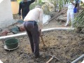 10 Pieter Hoff demonstrates how to make a planting place without destoying the capillary