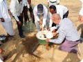 14 Then the Groasis waterboxx is carefully placed over the sapling common name Gunda tree  Cordia dichotoma 