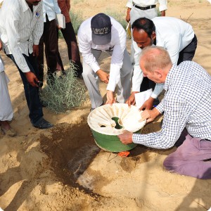 14 Then the Groasis waterboxx is carefully placed over the sapling common name Gunda tree  Cordia dichotoma 