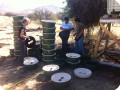 1 Planting a project for  Aguas Andinas in Fundo El Rutal  comuna de Til Til   Chili