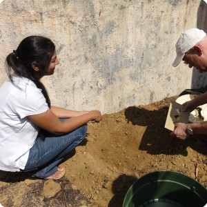 34 Mrs Singh teaches Mr Jan Lindeman CEO of Indo Dutch Consultancy how to plant