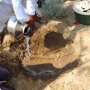 7 We first put 40 liters in the 20 cm deep planting hole to create a humid capillary column