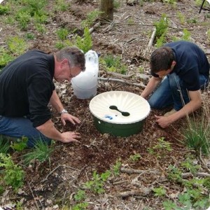 12 Adding soil at the sides to prevent evaporation