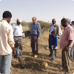 14 Instruction of making a planting hole without disturbing the capillary structure of the soil