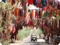 1 On our way to check the date palm plantation near Ahmedabad India