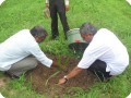 2 The date palms are transplants from tissue culture and planted on 13 September 2011