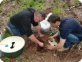 3 Making the small holes for the seed