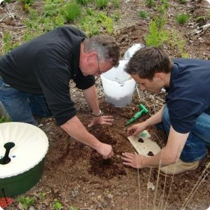 3 Making the small holes for the seed