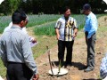 3 We check the growth of the plants they are all alive and well in middle Mr. Kulkarni from BAIF