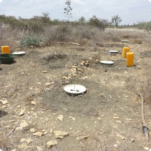 48 An overview after planting the Groasis waterboxxes