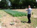 5 Pieter Hoff making photos of the two planting systems flooding technology  and Groasis Technology