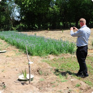 5 Pieter Hoff making photos of the two planting systems flooding technology  and Groasis Technology