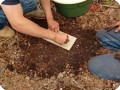 5 Putting the carton board on top against evaporation of the capillary