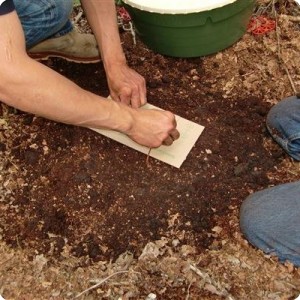 5 Putting the carton board on top against evaporation of the capillary