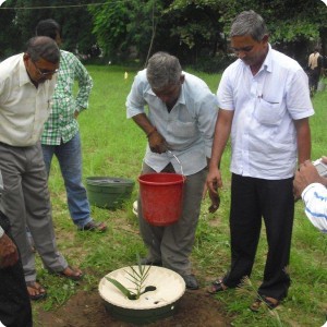 8 The researchers give water to the plant with the Groasis Technology in one year 50 liters only