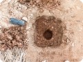 10 20180917   This is how the planting hole looks like  there is a deeper part for the sapling in the middle